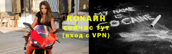 шишки Гатчина